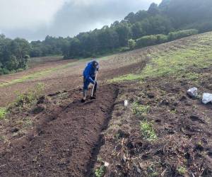 La irregularidad del invierno mantiene en crisis a comunidades rurales que dependen del agua de lluvia para sostener sus cosechas de granos y verduras.