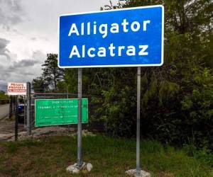La exigencia de la jueza ocurre pese a las imágenes aéreas del desmantelamiento de carpas.