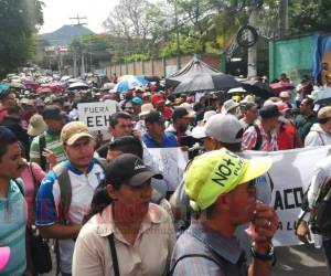 Los médicos y maestros asistieron al paro nacional que la plataforma convocó para este viernes. Foto: Marvin Salgado/EL HERALDO.