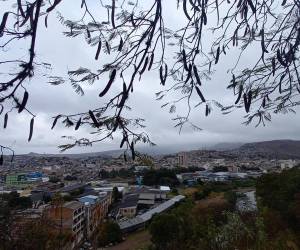 Tegucigalpa registrará una máxima de 23 C° y una mínima de 14 C°, mientras que en la región central se prevén valores máximos de 22 C° y mínimos de 14 C°.