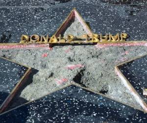 El hombre tratará de vender los pedazos que arrancó y no descartó volver para hacerle más daño a la estrella que Trump recibió en 2007 por su trabajo en el reality show. Foto: AFP