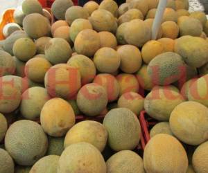 Honduras exporta melón a 30 países. Para esta temporada, los productores esperan afianzar su presencia en los nuevos mercados, especialmente Japón y Taiwán.