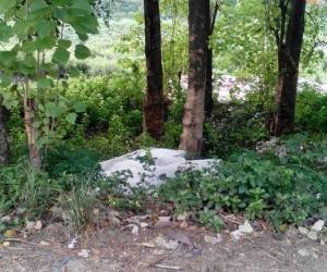 Los cuerpos de la pareja fueron dejamos en la calle que conduce a las Aldea El Carmen (Foto: Redes)