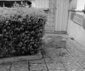 Uno de los dos hombres cayó muerto en uno de los paseos del parque municipal de Orica. Al levantarlo quedaron las huellas de la sangre que emanó.