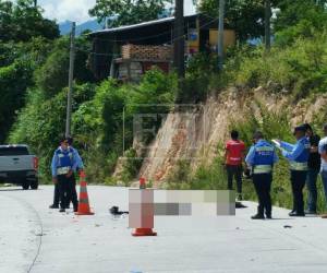 Agentes de la DNVT detuvieron al conductor del vehículo para fines de investigación, mientras el cuerpo de la víctima fue trasladado a la morgue capitalina.