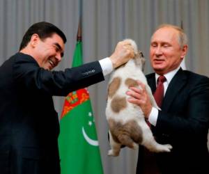 El líder ruso se mostró muy contento al recibir al cachorro. Foto: AFP