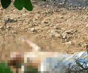 Vecinos del sector denunciaron el hallazgo del cádaver. Foto cortesía Twitter