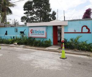 Funeraria del Pueblo y Veterinaria Municipal seguirán operando en Tegucigalpa, anuncia alcalde