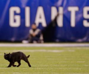 Un gato negro recorre el campo durante el segundo cuarto del juego de la NFL entre los Giants de Nueva York y los Cowboys de Dallas, el lunes 4 de noviembre de 2019, en East Rutherford, Nueva Jersey. (Foto: AP)