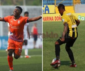 Lobos de la UPNFM y Real España se medirán en el repechaje.