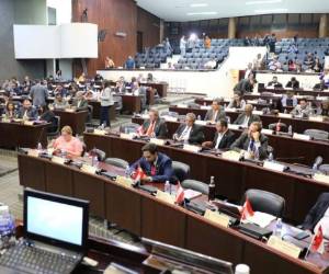 Directivos del Poder Legislativo siguen a la espera de la decisión de Oliva.