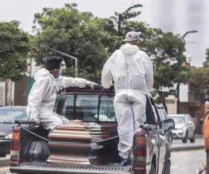 Sin embargo, una catástrofe oculta a otra: cerca de 400,000 personas más podrían morir este año de paludismo por los problemas de distribución de mosquiteras y de medicamentos que está ocasionando el coronavirus, alertó la OMS. Foto: AP.