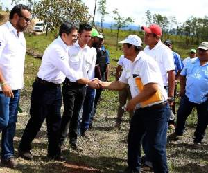 Hernández reconoció la participación de diversas instituciones.