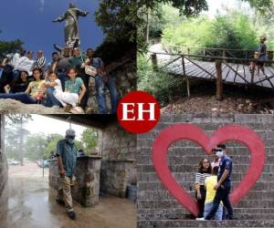 Numerosas familias aprovecharon este fin de semana para visitar el Parque Naciones Unidas El Picacho, espacio recreativo que abrió sus puertas hace varias semanas aprovechando la flexibilidad en las medidas de confinamiento. Foto: David Romero/EL HERALDO.