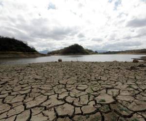 La represa Los Laureles en la actualidad se encuentra en un 49.59 por ciento de su capacidad máxima. Foto: EL HERALDO