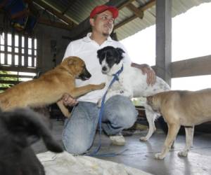 Amilcar Rivera, posa junto a varios de los perros rescatados de la calle. Ellos son su compañía. Foto: Alejandro Amador/EL HERALDO