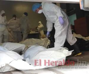 Los forenses momentos previos antes de la inhumación. Foto: Estalin Irías / EL HERALDO.