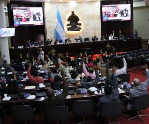 Solo los diputados del Partido Libertad y Refundación (Libre), muchos suplentes, estuvieron en la sesión convocada por Luis Redondo.