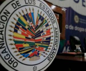 Al menos 20 votos países votaron a favor y cuatro en contra, con 8 abstenciones, de los 34 miembros activos de la organización continental. Foto: Agencia AFP