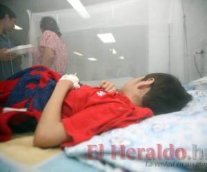 El 80 por ciento de las 48 muertes confirmadas por laboratorio por dengue grave son menores de edad.