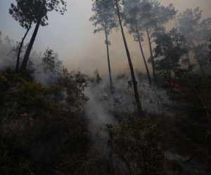 El ambiente que se vive dentro del parque nacional es un caos infernal para los miembros de apoyo que trabajan para sofocar el incendio.