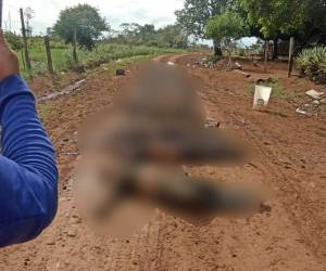 La Defensoría del Pueblo ha advertido de manera reiterada sobre el riesgo de confrontaciones armadas en el Guaviare.