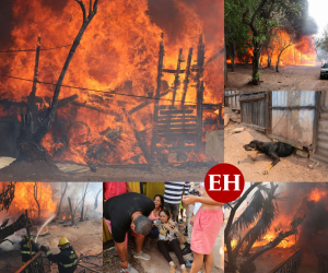 Sin explicarse el porqué su casa había sido consumida por las llamas, propietarios de una humilde vivienda lloraban desconsolados tras quedar en la calle este viernes en la capital. A continuación un relato -a través de imágenes- de lo sucedido.