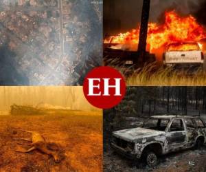 El mayor incendio forestal en la historia de California siguió creciendo este miércoles luego de destruir más de 1,000 estructuras, casi la mitad de ellas viviendas, mientras las autoridades de Montana ordenaron evacuaciones en momentos en los que un fuego avivado por el viento se dirigía hacia varias comunidades remotas. FOTOS: AP/AFP