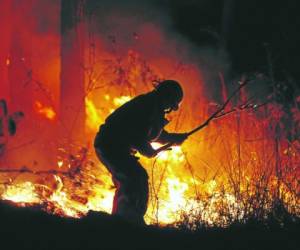 Cada día los apagafuegos se enfrentan a seis incendios, algunas de mayor intensidad. Foto: EL HERALDO
