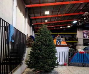 Con apenas un árbol en un albergue, los migrantes celebraban las vísperas de Navidad. Foto: Agencia AFP