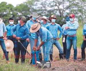 Los estudiantes regresaron debido a que sus carreras se lo exigen, pero no todos aceptan por el covid-19. Foto: Emilio Flores | EL HERALDO