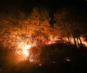 Preliminarmente se informan de alrededor de 1,000 hectáreas quemadas en el incendio en La Tigra.