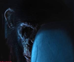 La película de Johannes Roberts con Troy Kotsur se estrena mañana 1 de enero como el primer gran estreno de terror de 2026, prometiendo violencia extrema con un chimpancé rabioso como protagonista.