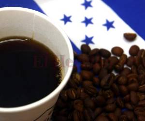 Los tres principales mercados para el aromático hondureño son Alemania, Bélgica y Estados Unidos.