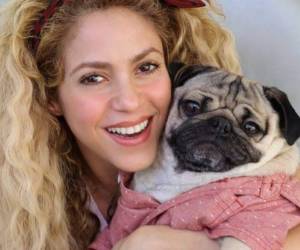 La cantante colombiana es una de las estrellas más famosas de la música latina.