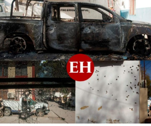 Fuerzas de seguridad de México estaban centrados este lunes en la búsqueda de decenas de sicarios que perpetraron el fin de semana un feroz ataque armado contra autoridades en el norte del país, con un saldo de 22 muertos. Unos sesenta sicarios a bordo de camionetas y con chalecos con logotipos del Cártel del Noreste, uno de los subgrupos en los que se ha atomizado el violento cártel de Los Zetas, irrumpieron el fin de semana en la cabecera municipal de Villa Unión, un recóndito poblado del estado de Coahuila, fronterizo con Estados Unidos, que lucía casi vacío.