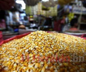 Además del maíz, otros productos de la canasta básica han experimentado aumentos.