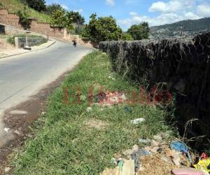 Cubierta de maleza permanece la plataforma peatonal. Foto: David Romero/EL HERALDO