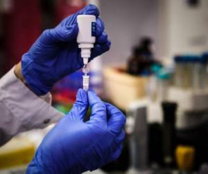 Estos resultados eran muy esperados, pues numerosos investigadores y laboratorios de todo el mundo libran una carrera contrarreloj para hallar una vacuna segura y eficaz contra la Covid-19. Foto: AFP.