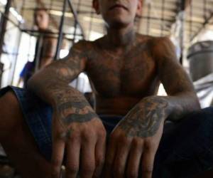 Los dos detenidos fueron registrados por la Policía Nacional y luego remitidos a los tribunales de justicia, de la capital.