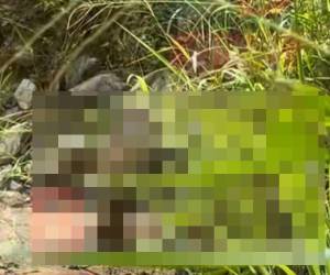 Los restos humanos fueron hallados por un hombre que transitaba la zona en busca de leña en un matorral cercano a la calle que conduce hacia la comunidad de Santa Elena.