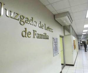 Los Juzgados de Familia son la instancia donde las parejas deben resolver legalmente la disolución de su matrimonio, ya sea mediante un proceso de mutuo consentimiento o a través de una demanda contenciosa cuando no existe acuerdo entre los cónyuge.