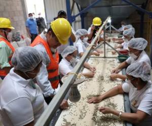 El gobernante el fin de semana estuvo en el occidente del país. Foto: EL HERALDO