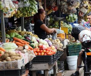 Además del frijol, nueve verduras, entre ellas la cebolla roja, el tomate y el pipián, registraron aumentos de precio en el mercado Zonal Belén, según el más reciente monitoreo del SIMPAH.