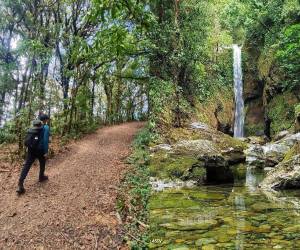 Si busca alternativas diferentes y alejadas del bullicio y del mar para el feriado de Semana Santa 2026, existen opciones donde el verde esmeralda y el aire puro son los protagonistas. A continuación, algunos de los parques nacionales para desconectar del caos urbano y recargar energías.