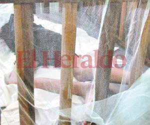 Las personas infectadas deben acudir rápido al médico para ser tratadas. Foto: EL HERALDO