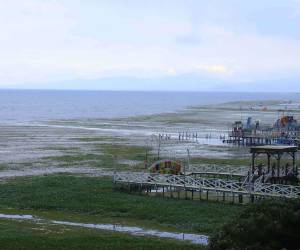 Una gran parte del espejo de agua en el lago de Yojoa está cubierto de lirio acuático.