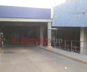La morgue del Hospital Escuela estaría siendo invadida por ratas.