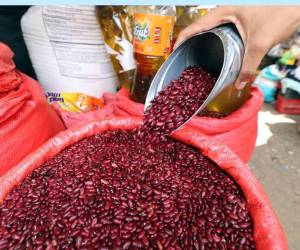 IHMA dispone de 48 mil quintales de frijol para abastecer los diferentes mercados y contrarrestar el aumento del grano en este verano.