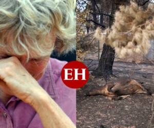 Australia está viviendo una de sus peores temporadas de incendios forestales, alimentados por temperaturas récord y meses de severas sequías. Y, según trabajadores de emergencia, lo peor aún está por venir. En el siniestro, miles de animales han muerto. Shane Fitzsimmons, comisionado del Servicio de Bomberos Rurales de Nueva Gales del Sur, advirtió que las 'volátiles' condiciones podrían intensificar los incendios. Aquí un recuento de las catastróficas imágenes. FOTOS: AP/AFP